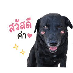 Happy Black Doggy