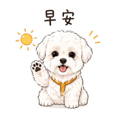 偷偷家的日常用語