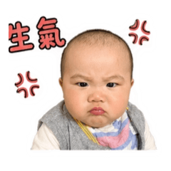 智淳的emogi