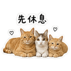 Fun Ray Mai-日常用語篇