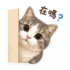 招牌小胖子