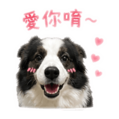 樂樂呀呀