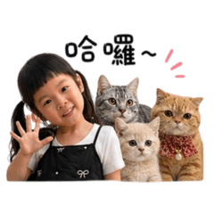小葵與三隻貓