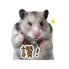 我家PaPa 2
