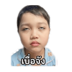 Sbowwy_20260428115341
