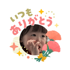 NOKO_20260503124109