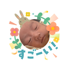 mameko_20260503173332