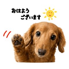 mint_20260503124004