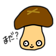 kocchan_20260503180716