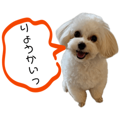 mmm_20260503180518