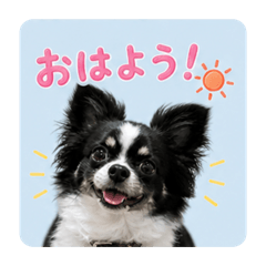 kawaguchiyuna_20260503181704