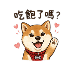 豆豆日常一