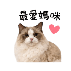 皮皮日常生活pipi