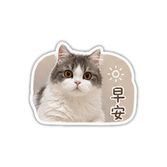 Caat3