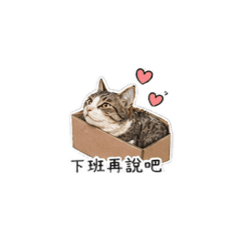 可愛球球～