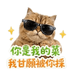 咪的土味情話～