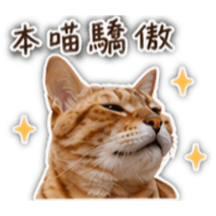 仔仔有點跩表情包