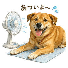 SUPPY.M everyday life Sticker ver2