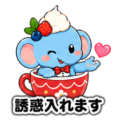 Cupzou 06