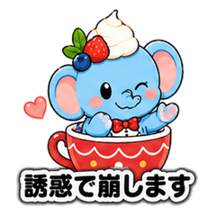 Cupzou 05