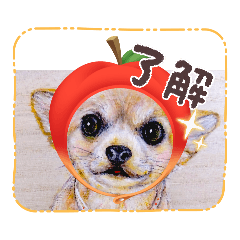 osumi_20260503093649