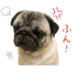 potechikun_20260503122801