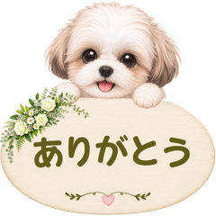 Fluffy Shih Tzu Sign Stickers