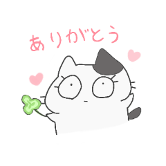 maru_20260503130703