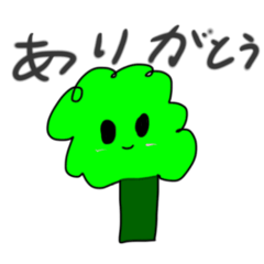 chimachi_20260503131345