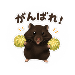 w.coo_20260503143952
