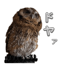 Fukurofu