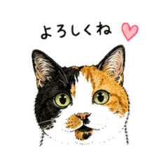 Mi-chan the Calico Cat: Daily Stickers