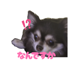 yuurinti_20260503181104