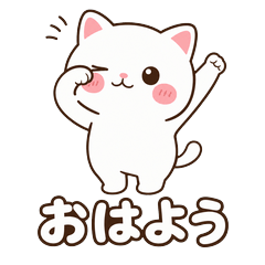 Mochi the Fluffy Cat