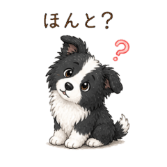 Fluffy Silly Border Collie Stickers