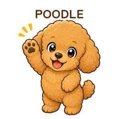cute and Fluffy Toy Poodle Stickers