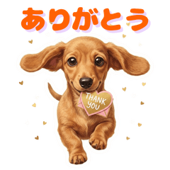 Fluffy Puppy-Eyed Doxie