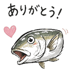 Fish POV: Reactions From the Other Side