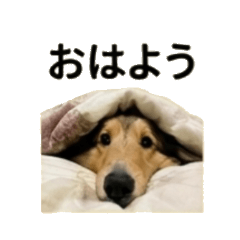 chao's Daily Chat Stickers sea2