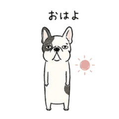 Long Standing Dog French Bulldog