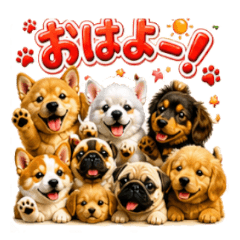 A big gathering of dogs