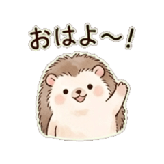 Hariko the Hedgehog: Daily Chat.