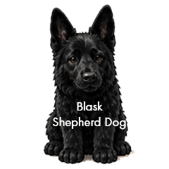 Black Shepherd Dog