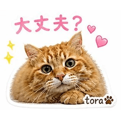 Tora's Daily Stickers_9