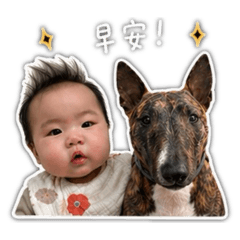 狗小Q&狗小淳-日常篇