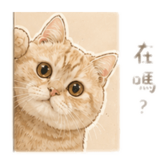 圓圓工作日常