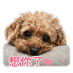 快樂Milin