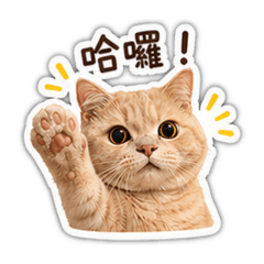 萌眼咪幾