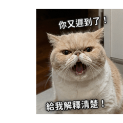 暴怒菲