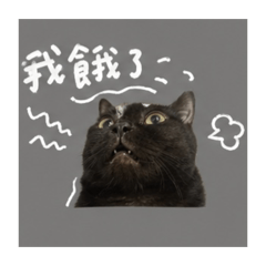 憨哺璃